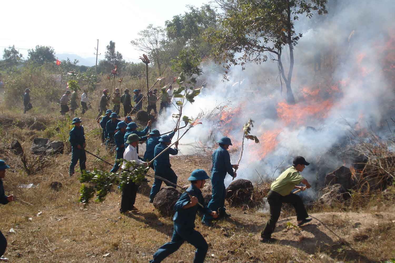 Các biện pháp cấp bách phòng cháy, chữa cháy rừng ở Gia Lai