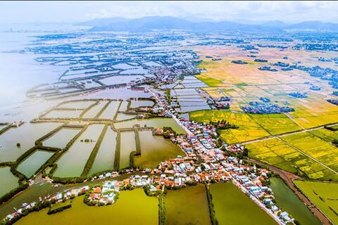 Đầm Thị Nại