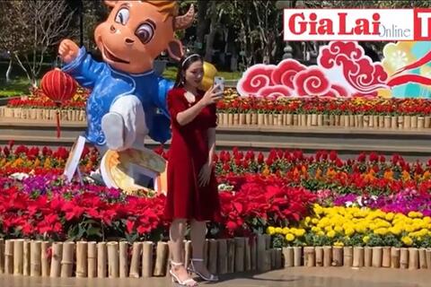 Gia Lai vui Tết bình yên