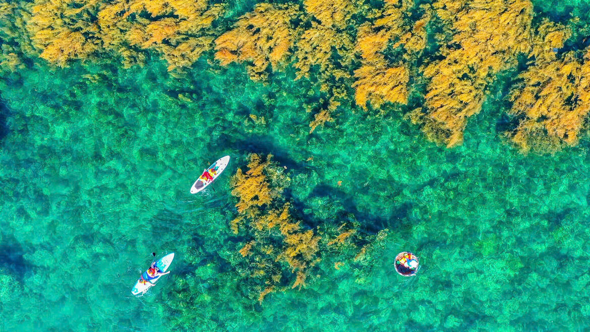 Photo by Nguyễn Dũng