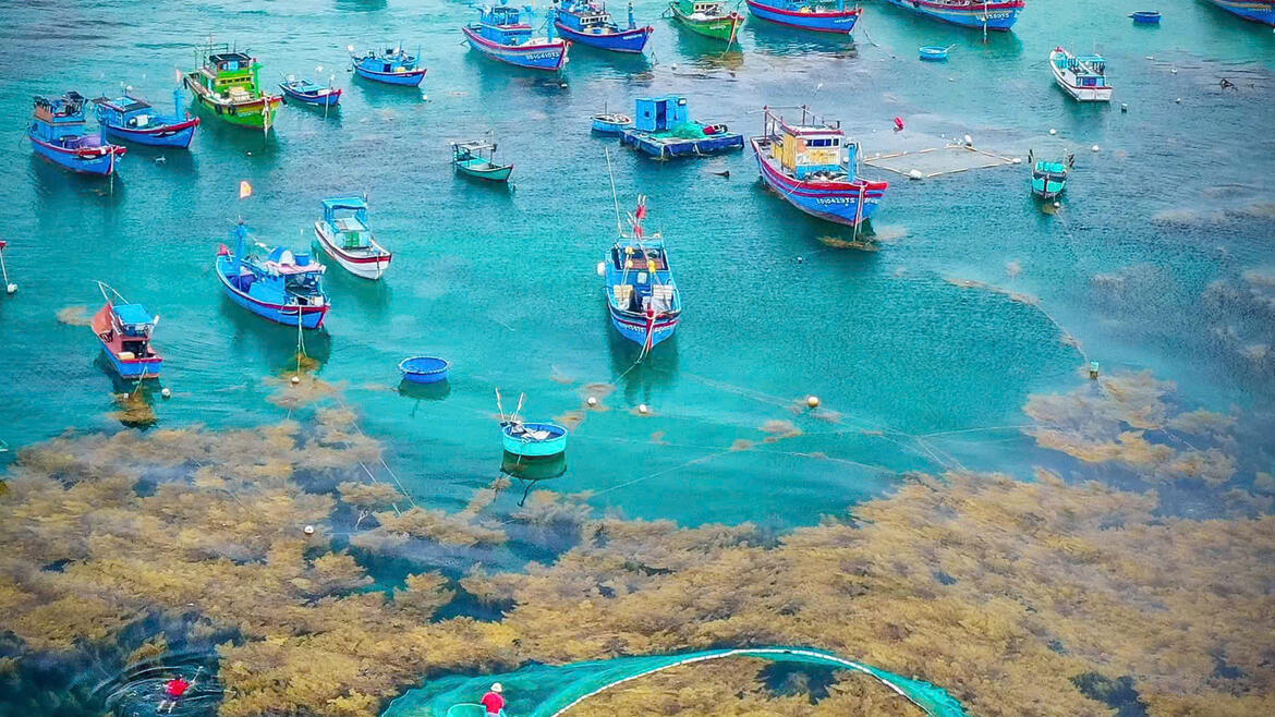 Photo by Nguyễn Dũng