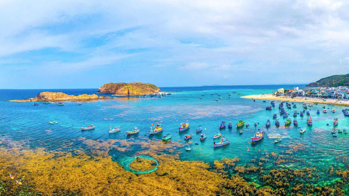 Photo by Nguyễn Dũng