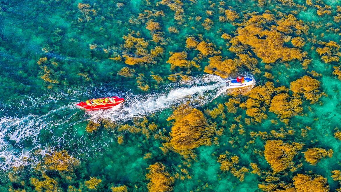 Photo by Nguyễn Dũng