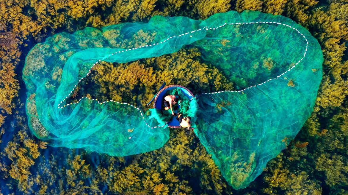 Photo by Nguyễn Dũng