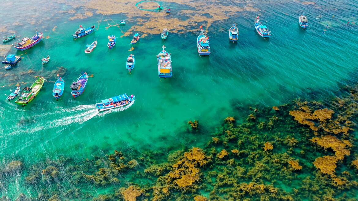 Photo by Nguyễn Dũng