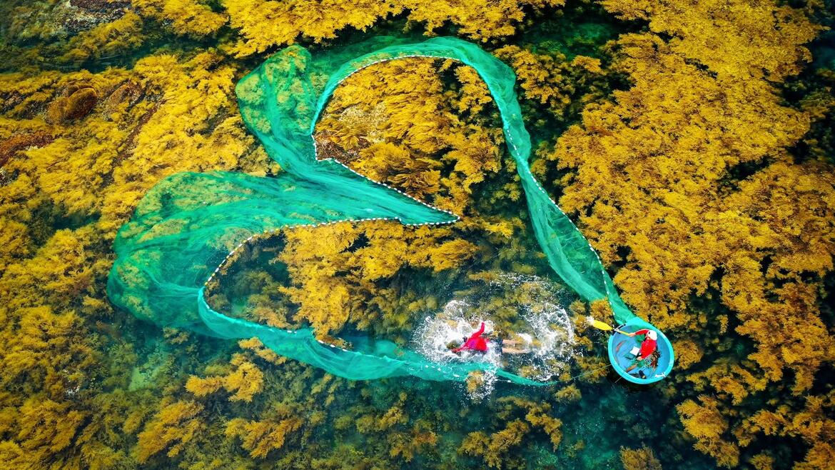 Photo by Nguyễn Dũng