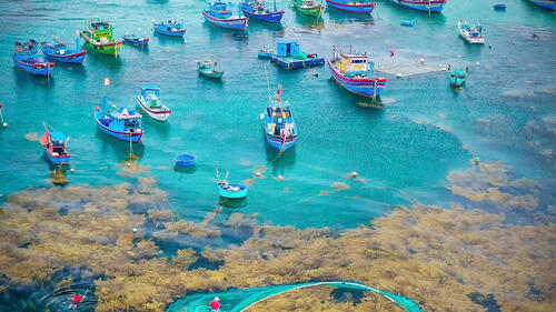Photo by Nguyễn Dũng