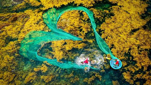 Photo by Nguyễn Dũng