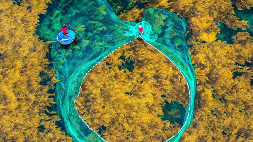 Photo by Nguyễn Dũng