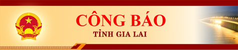 Công báo điện tử